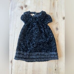 Elegant Black Velvet Dress